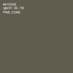 #615D4E - Pine Cone Color Image